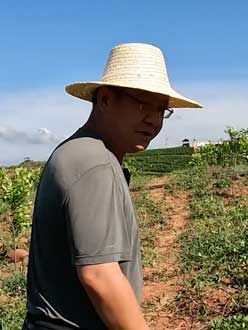 农业人叶涛，50多岁通讯人跨界搞农业，他要用1000万打造一个梦。